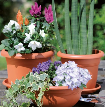 Květináč terracotta 30 cm