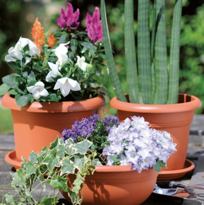 Květináč terracotta MISKA 30 cm