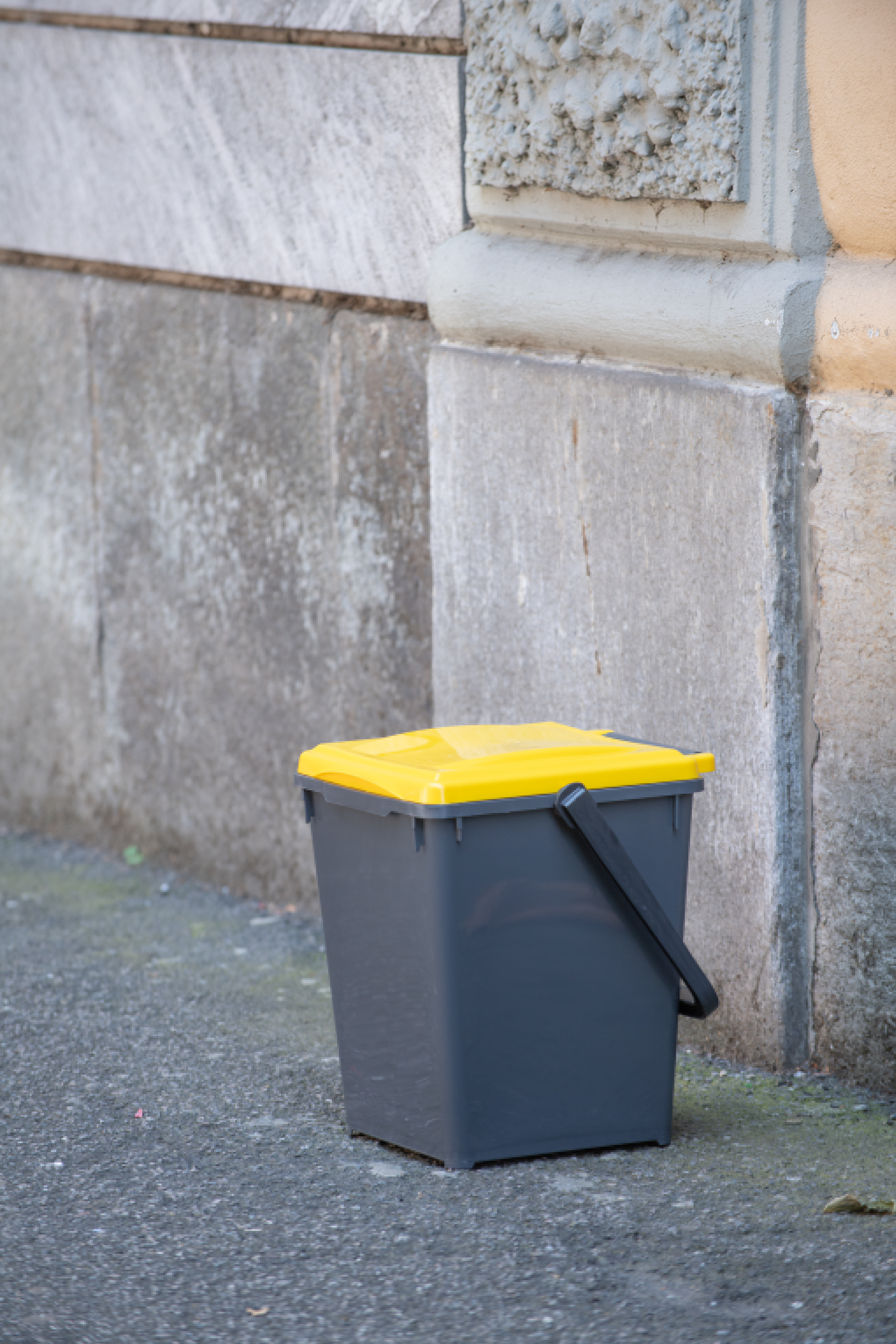 Třídící koš ECOLINE 20l šedá + hnědé víko
