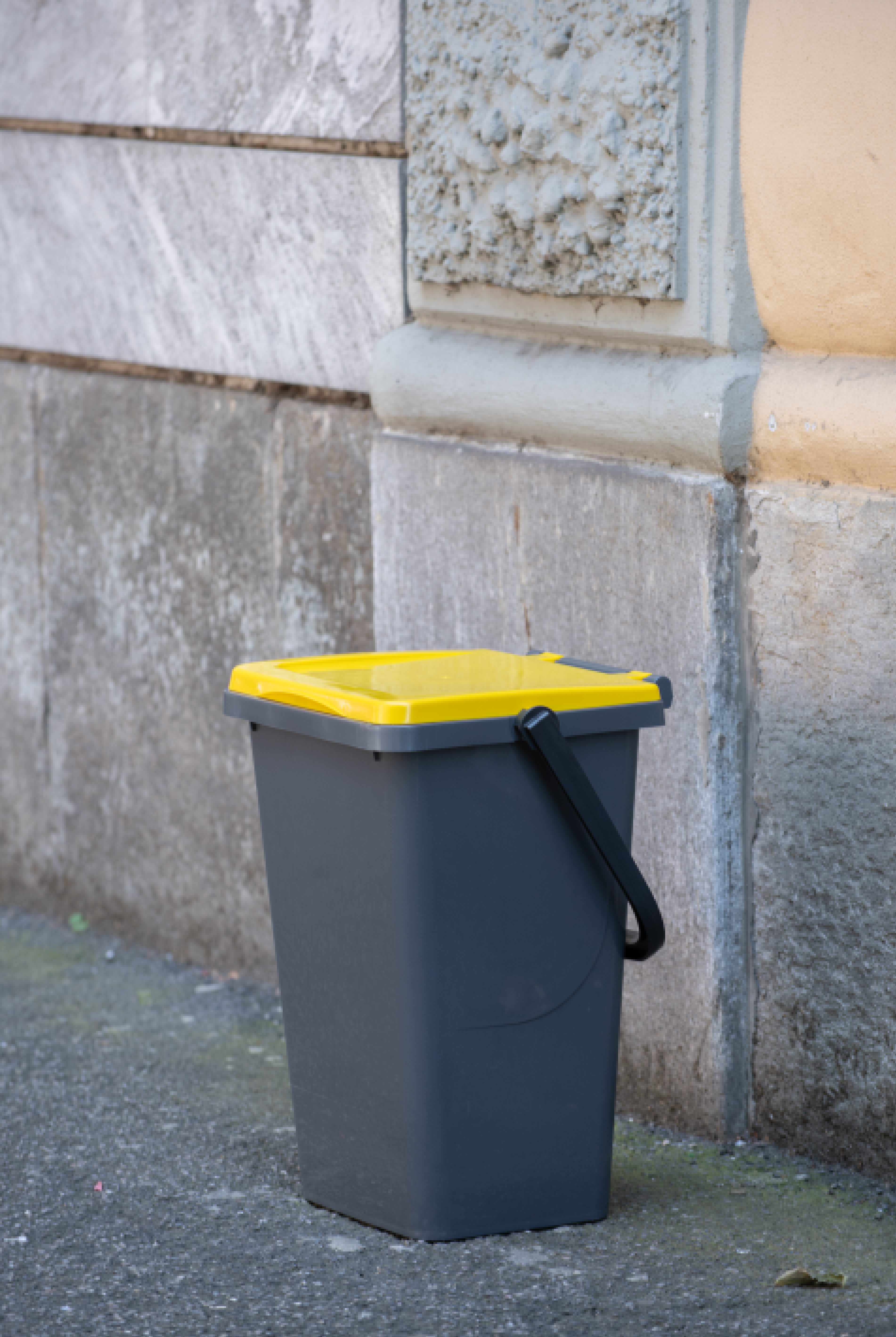 Třídící koš ECOLINE 35l šedá + modré víko