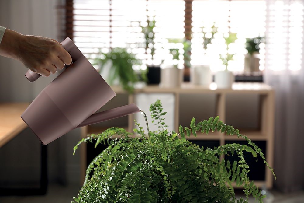 Konvička IBIS 2 litry - světle šedá