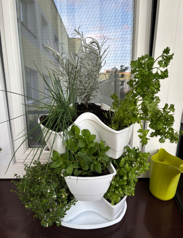 Květináč na bylinky 29,5 cm - set 3 ks