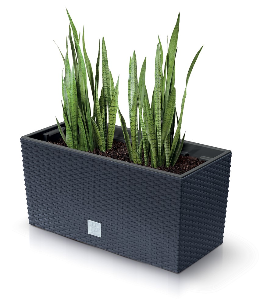 Truhlík RATO CASE W s háky a vkladem 39,5 cm