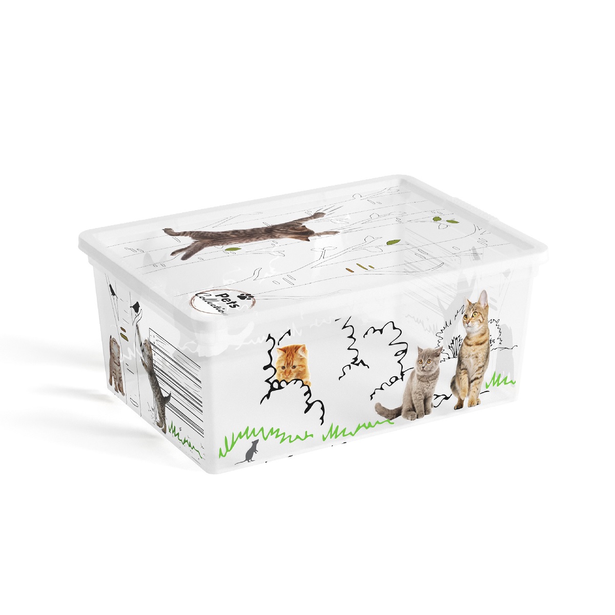 Plastový C Box s víkem S Pets Collection KOČIČKY
